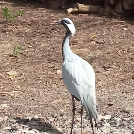 Tatil Evi Le Moulin Barbotte La Convivialite En Pleine Nature