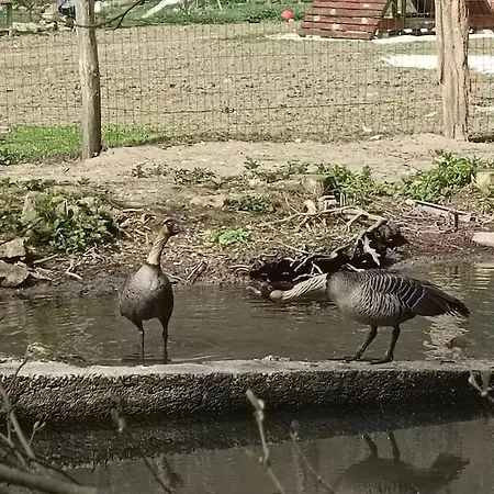 Tatil Evi Le Moulin Barbotte La Convivialite En Pleine Nature Nesle-la-Reposte