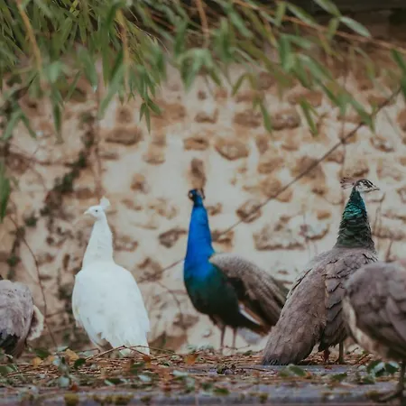 Le Moulin Barbotte La Convivialite En Pleine Nature * Nesle-la-Reposte