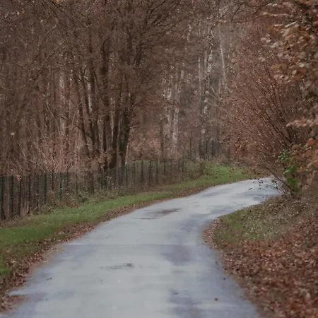 Tatil Evi Le Moulin Barbotte La Convivialite En Pleine Nature Nesle-la-Reposte