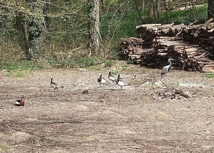 Casa vacanze Le Moulin Barbotte La Convivialité En Pleine Nature *
