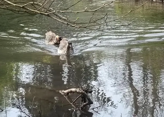 Casa vacanze Le Moulin Barbotte La Convivialité En Pleine Nature Nesle-la-Reposte