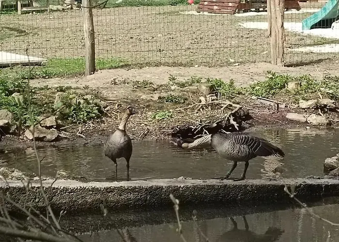 Casa vacanze Le Moulin Barbotte La Convivialité En Pleine Nature Nesle-la-Reposte